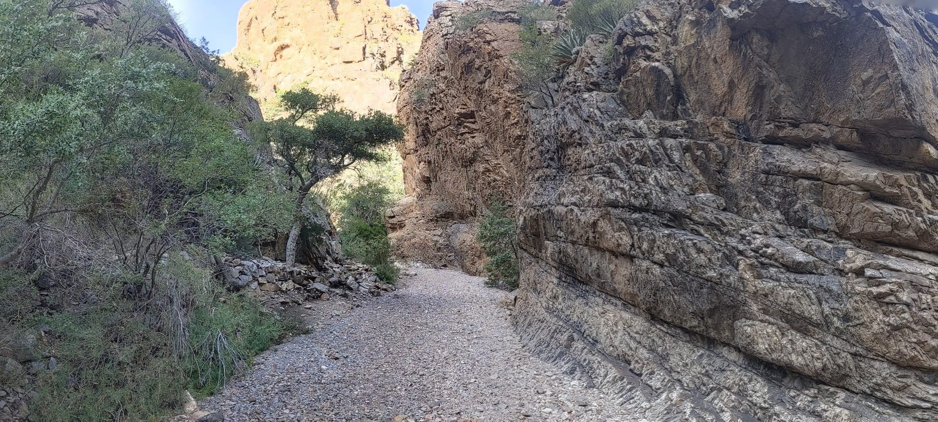 A loose rocky bed makes for relatively easy hiking through Oak Creek Canyon in Big Bend.