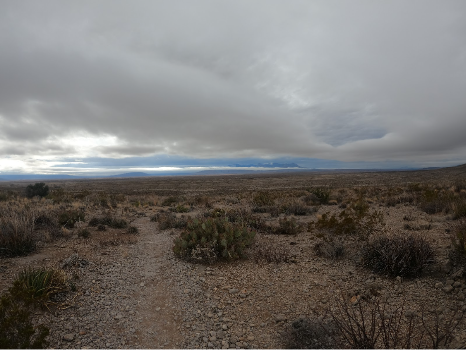 image 2024 01 25 125141312