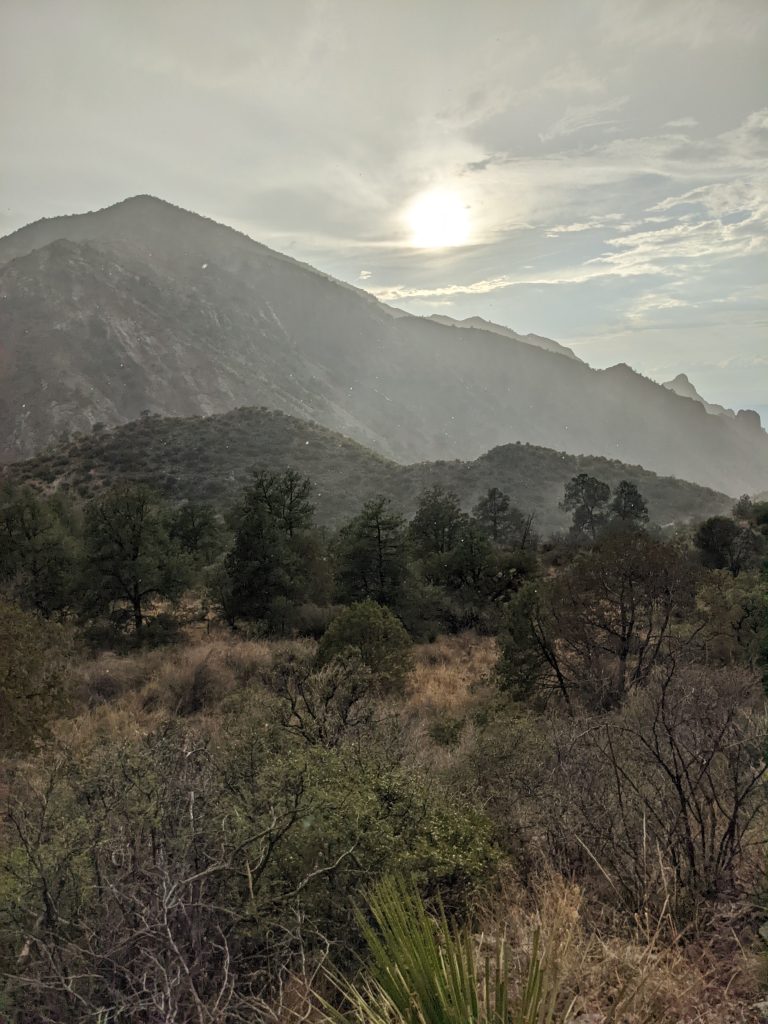 Rain falls in the Chisos Mountains as the Sun momentarily breaks through the clouds.