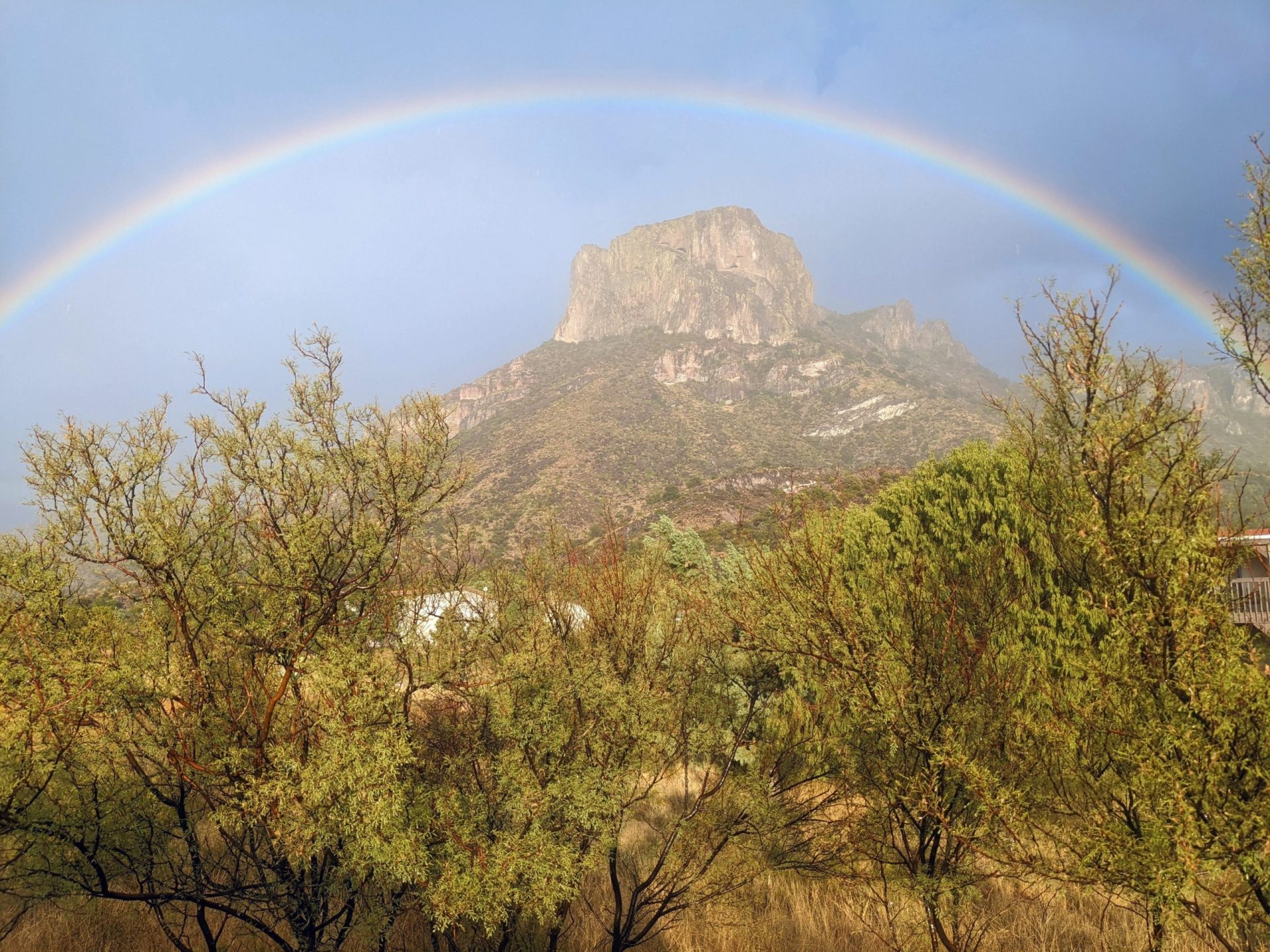 A brilliant rainbow hovers above the Chisos Mountains after a downpour.