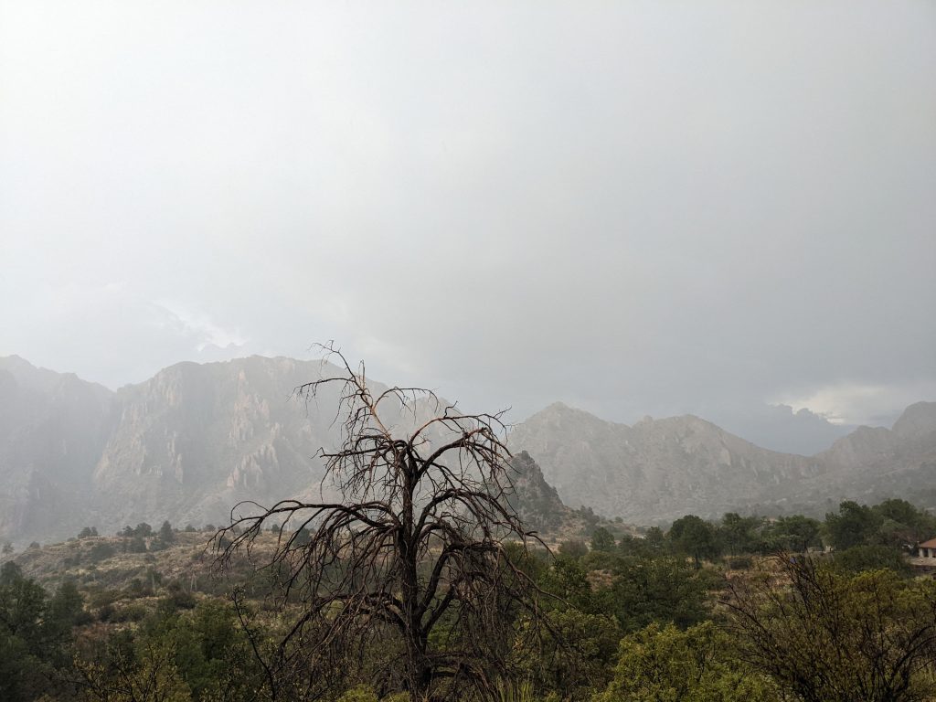 Rain in the Chisos