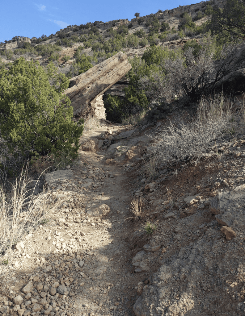 Screenshot 20240824 091541 1