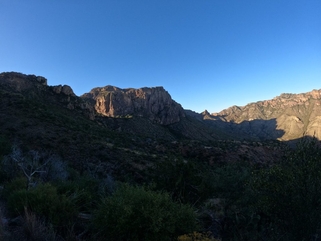 juniper10