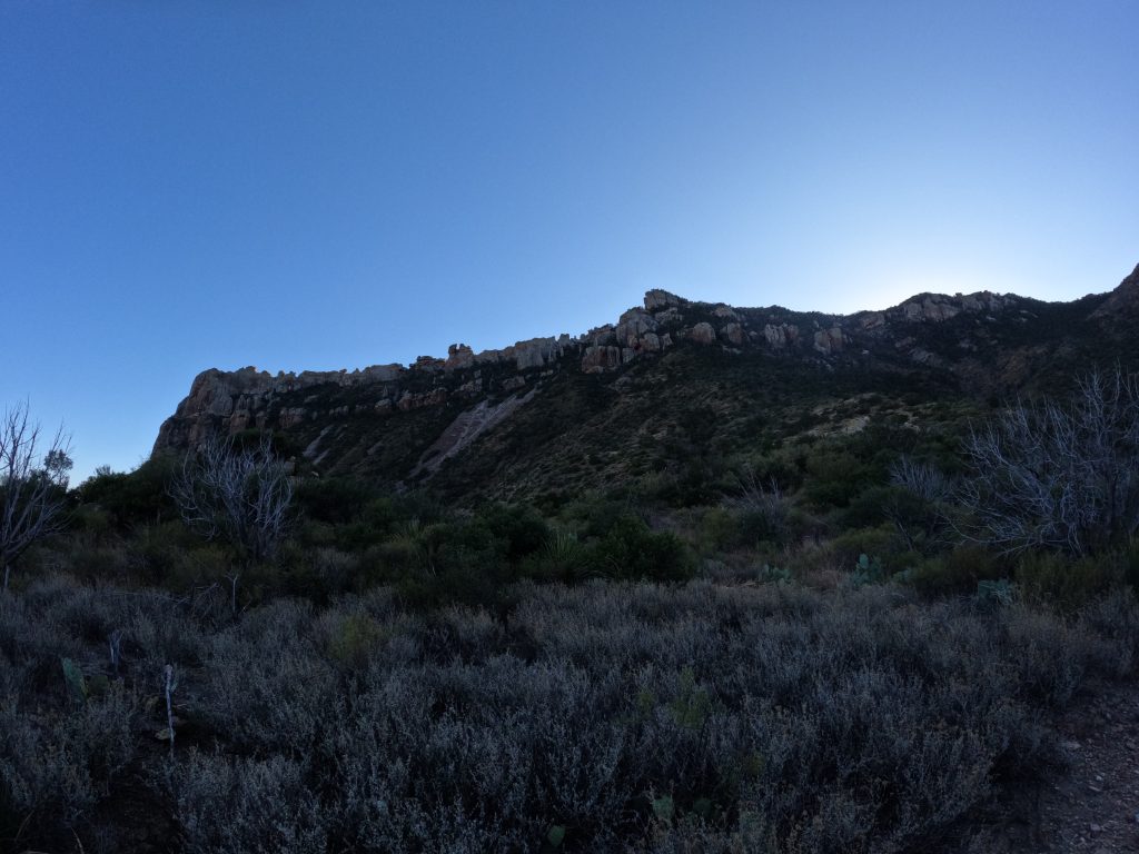 juniper19