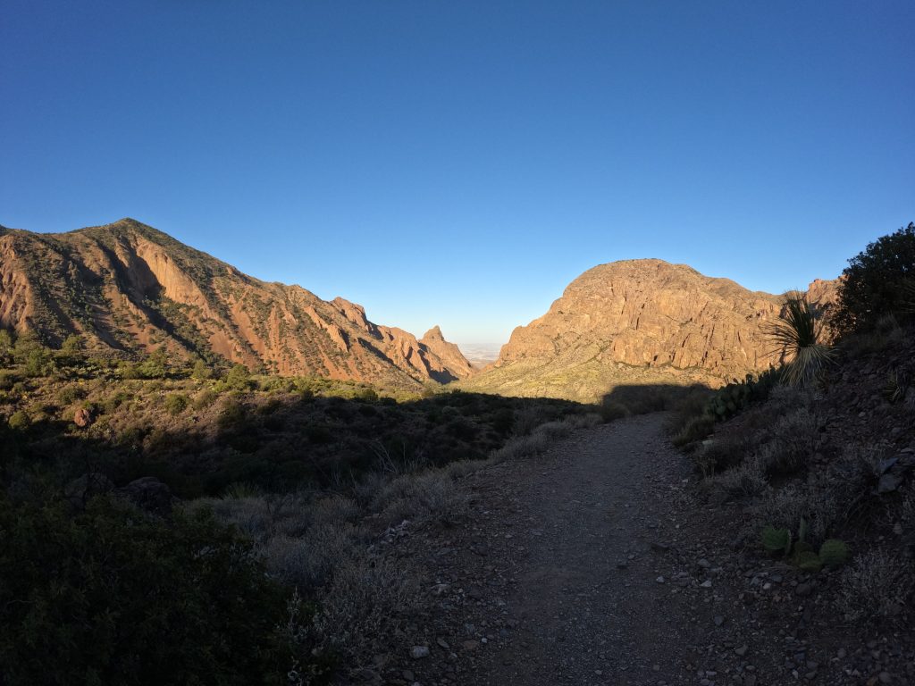 juniper27