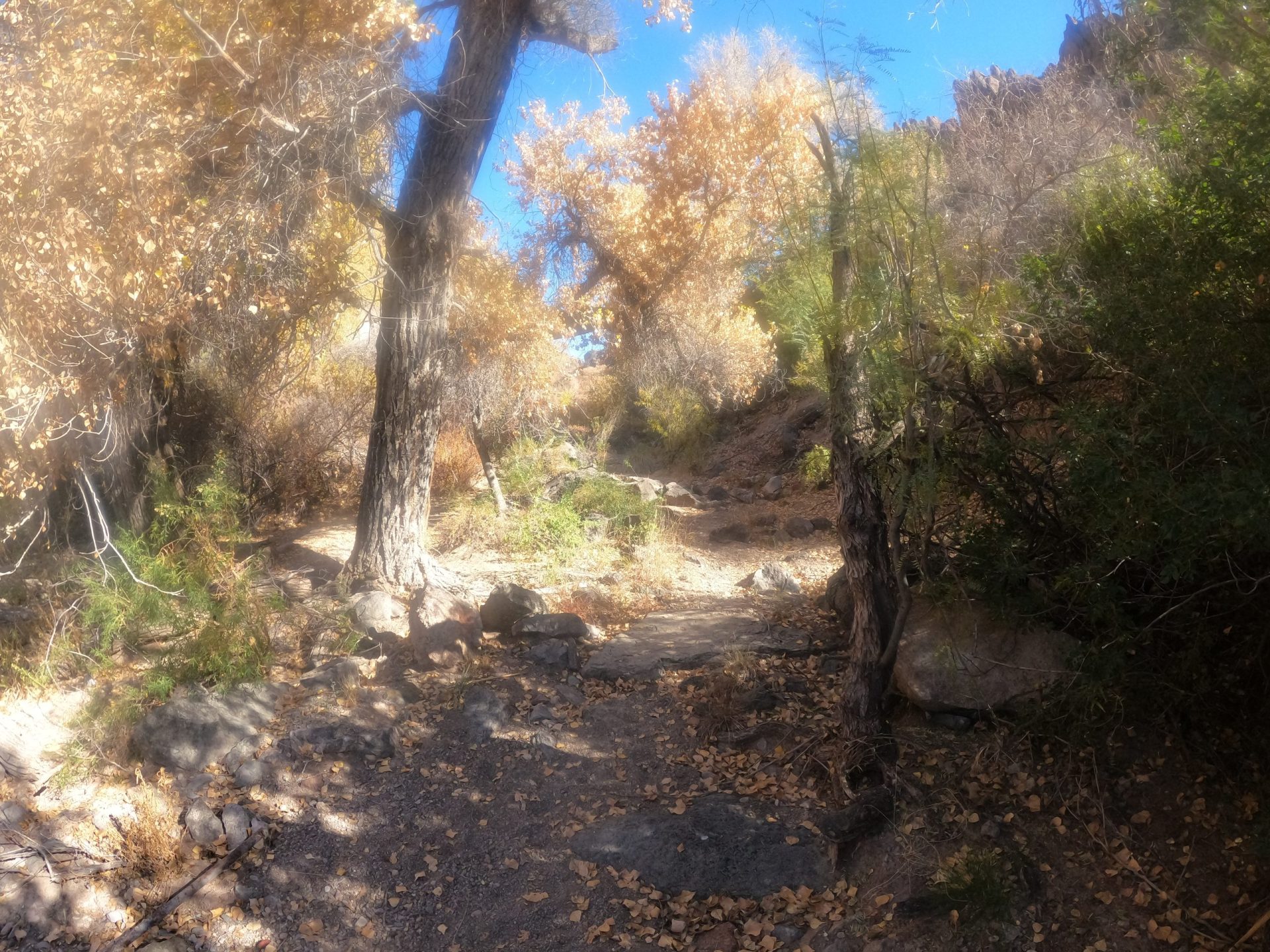 ojitoadenturo7 scaled