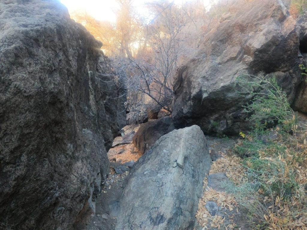 ojoadenturorockscramble