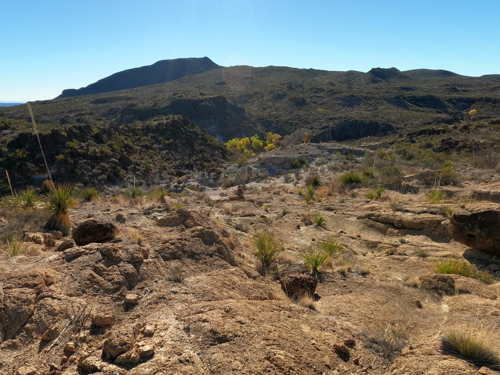 rockflow on mexicano scaled